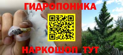 дживик Гусь-Хрустальный