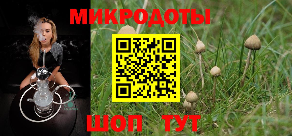 Псилоцибиновые грибы мицелий  цена   Вход с VPN  Мурино  Псилоцибиновые грибы Psilocybine cubensis 